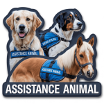 High Contrast Assistance Animal Patches Custom Made UK